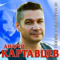 Андрей Картавцев - Ты Не Со Мной постер