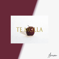 Arnon - Te Molla (2019 Version) постер