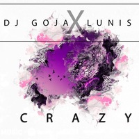 Dj Goja & Lunis - Crazy 2020 постер